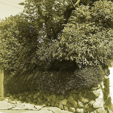 高低差のある庭　～丸太杭で土留め～　世田谷区サムネイル